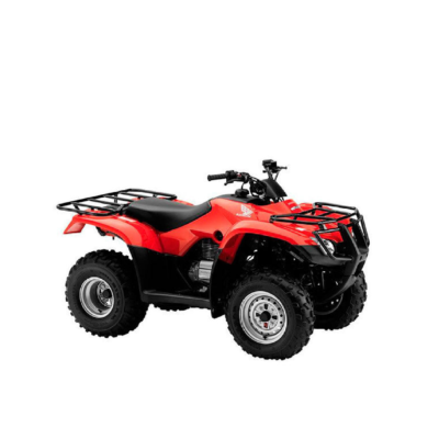 Honda TRX 250